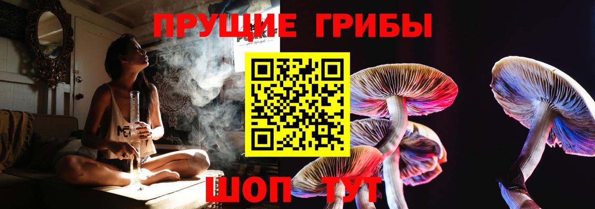 Ижевск  Псилоцибиновые грибы прущие грибы  Вход с VPN 